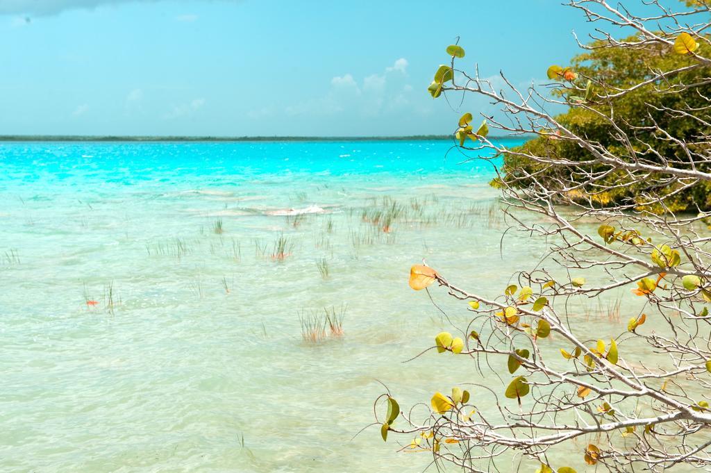 Hotel Rancho Encantado Bacalar Buitenkant foto